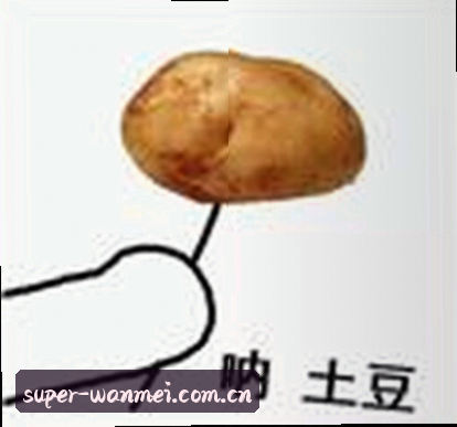 王杰